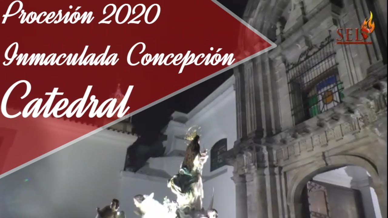 En Vivo Procesión Intramuros Inmaculada Concepción de Catedral Metropolitana