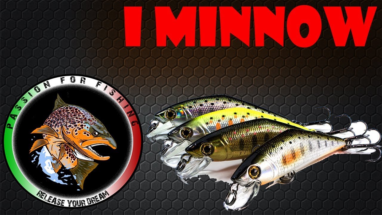 Trota Torrente - I Minnow