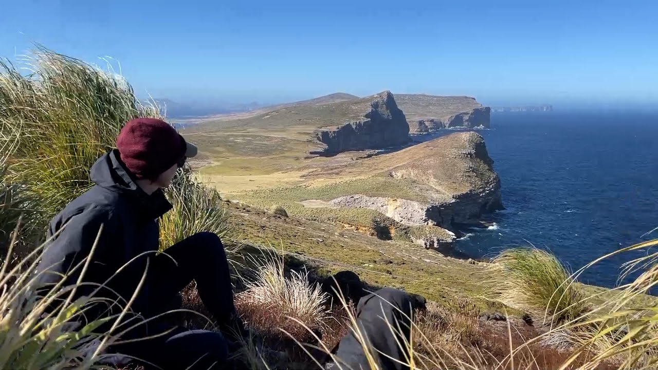 Falklands New Island Restoration Project