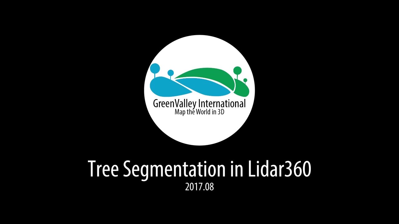 LiDAR360 | Individual Tree Segmentation