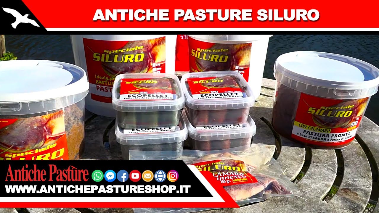 ANTICHE PASTURE - LINEA SILURO