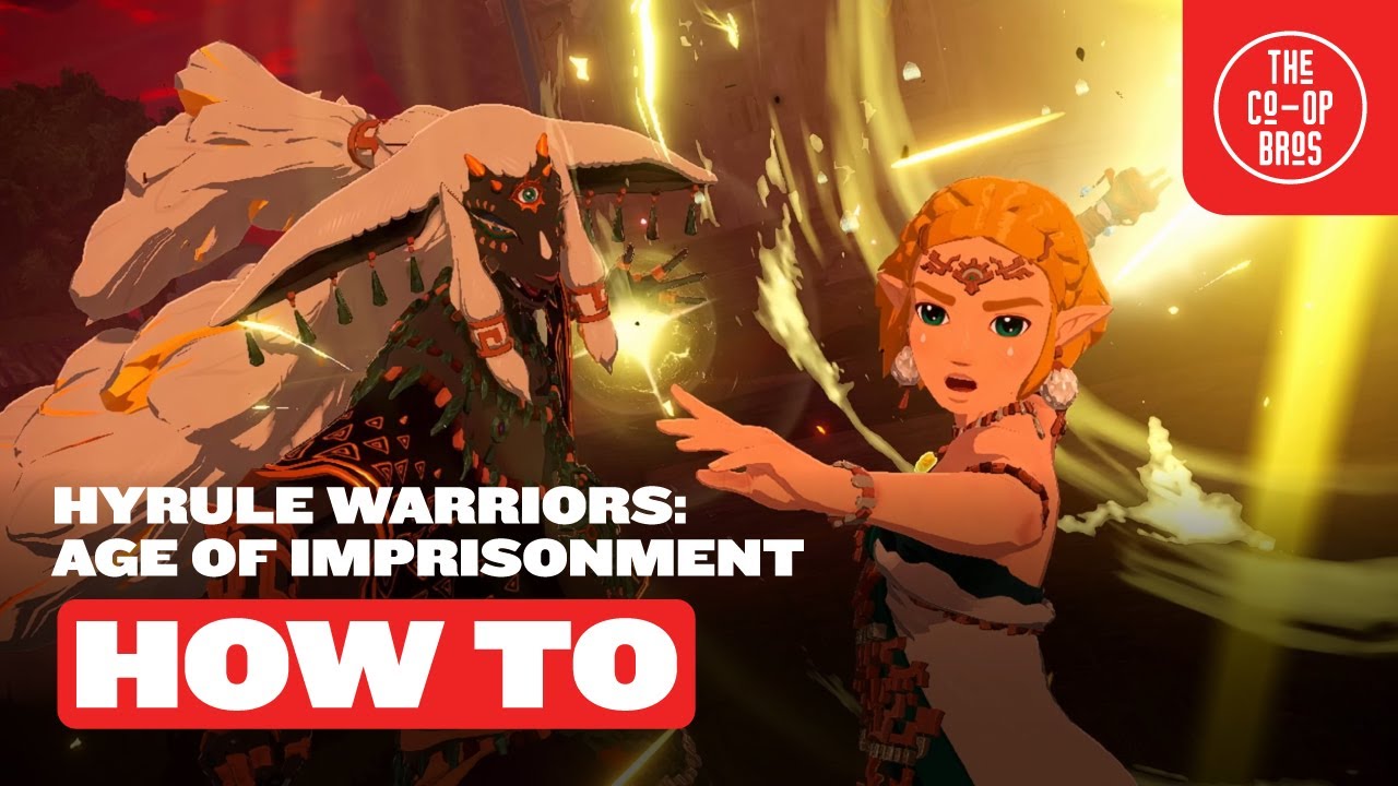 Hyrule Warriors: Age of Imprisonment | How To Play Co-Op