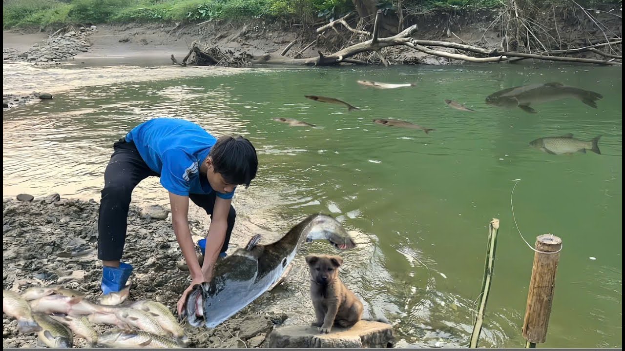 Jota uses live earthworms to catch giant catfish – harvesting large schools of fish to sell.