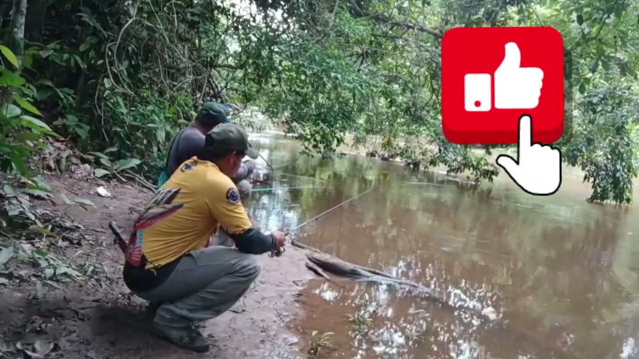 🎣 PESCARIA DEU RUIM RIO CHEIO POUCOS PEIXES 🐟🎣