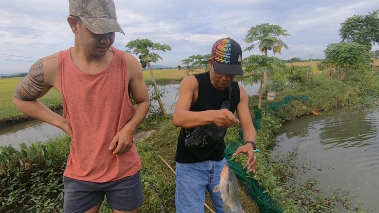 vlog179- Tilapia catch and cook Part 1