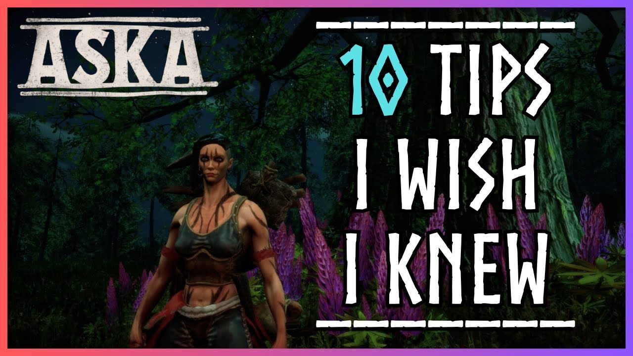 10 Tips I Wish I Knew BEFORE I Started ASKA