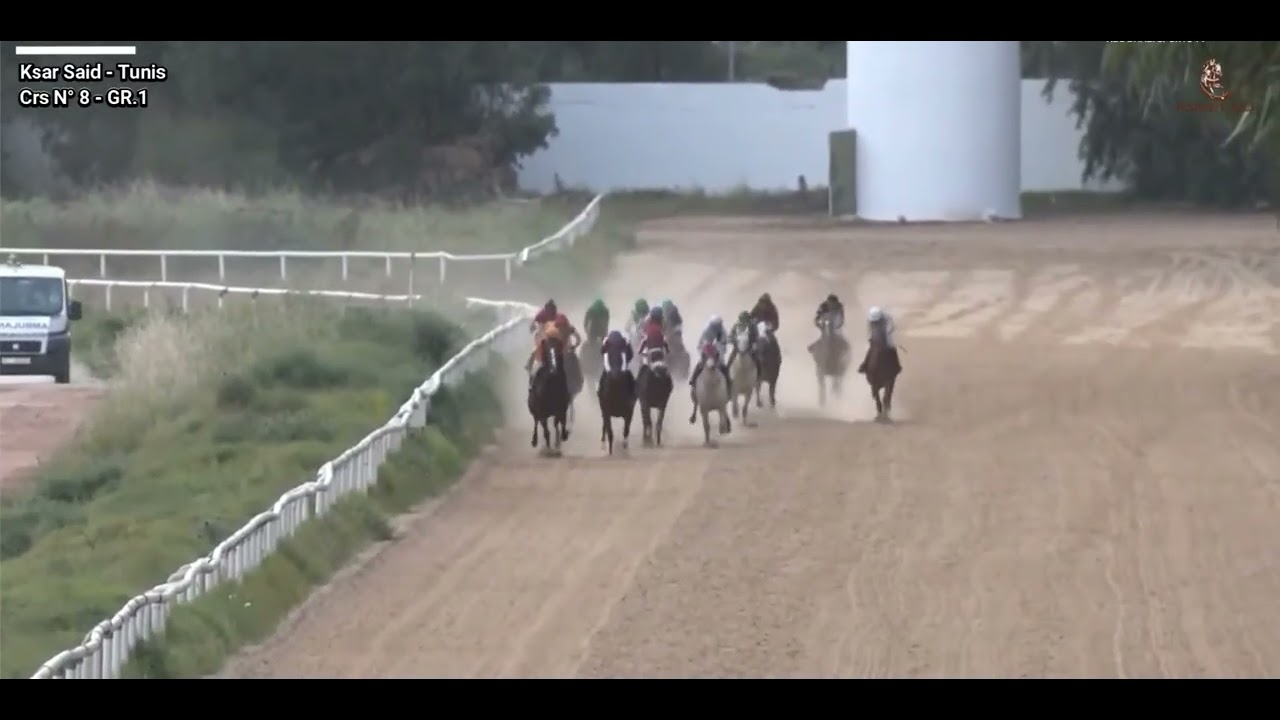 PRIX THE PRESIDENT OF THE UAE CUP (GR.1) 2025 Vainqueur NAFE'EH.