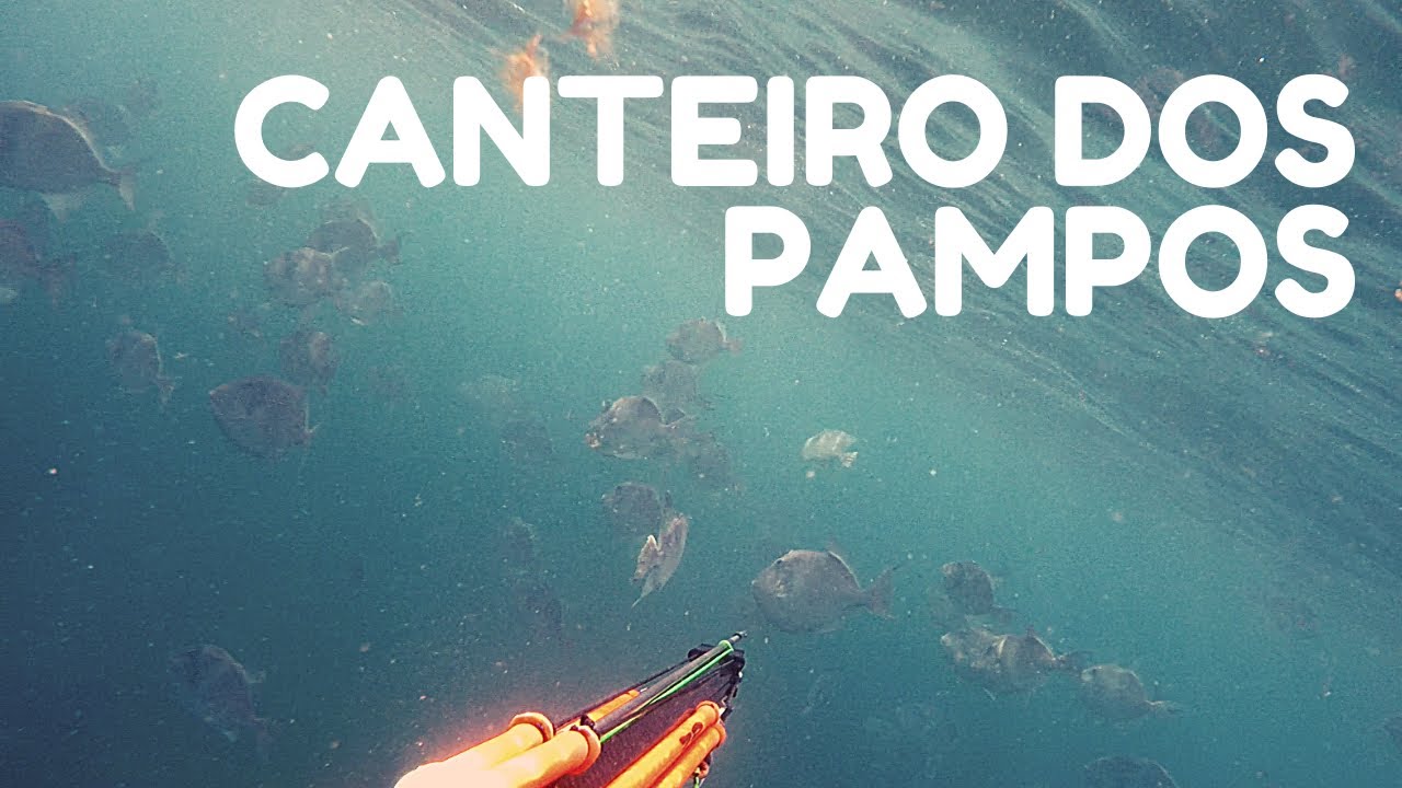 Canteiro dos Pampos (Ca&ccedil;a Submarina, Praia das Bicas, Portugal)