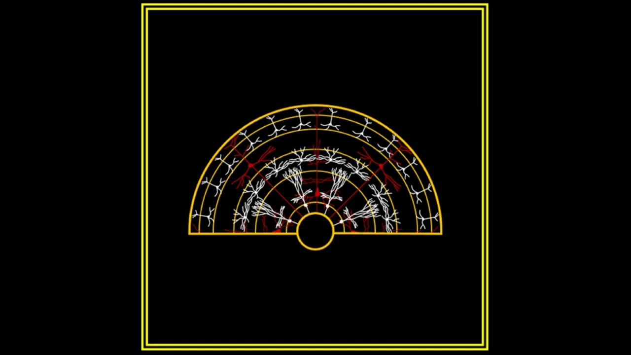 The Hard Problem Ep 135: Death and Consciousness