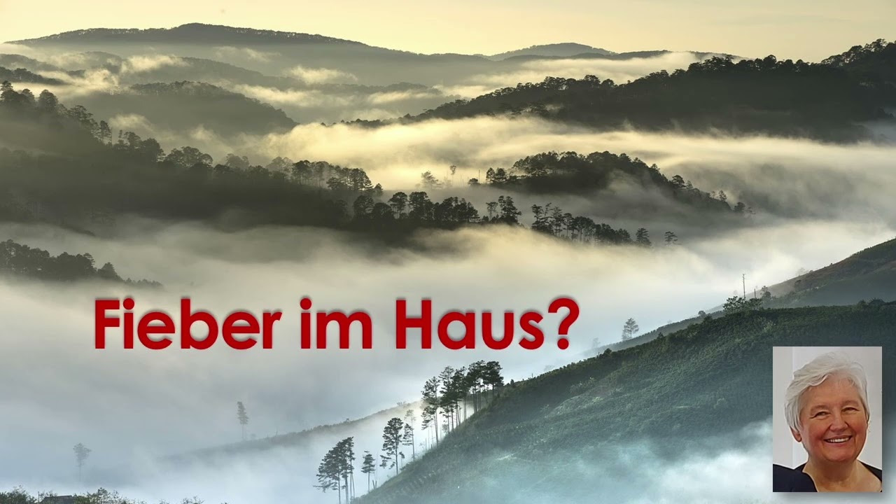 Fieber im Haus? | Lukas 4, 38 | Irene Rotfuss | 14.01.2026