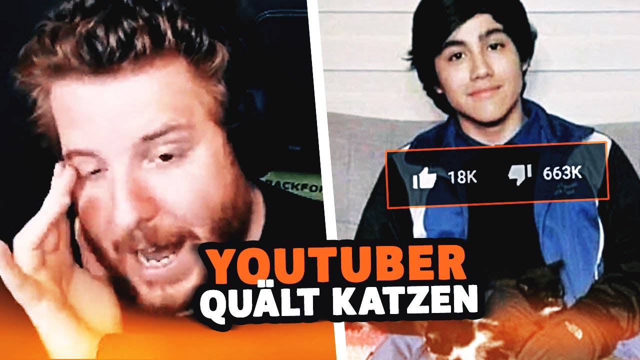 Unge REAGIERT auf YouTuber BRINGT KATZE UM 🤬 ungespielt Reaktion