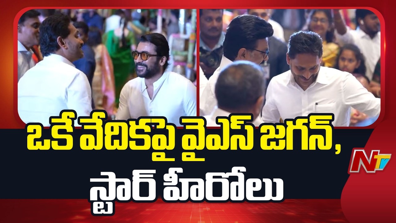 Ys Jagan In Chennai : బంధువుల పెళ్ళిలో జగన్ ను కలిసిన స్టార్ హీరోలు సూర్య, కార్తీ | NTV Telugu