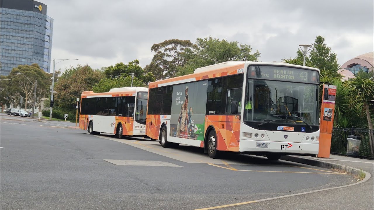 Buses in Geelong 