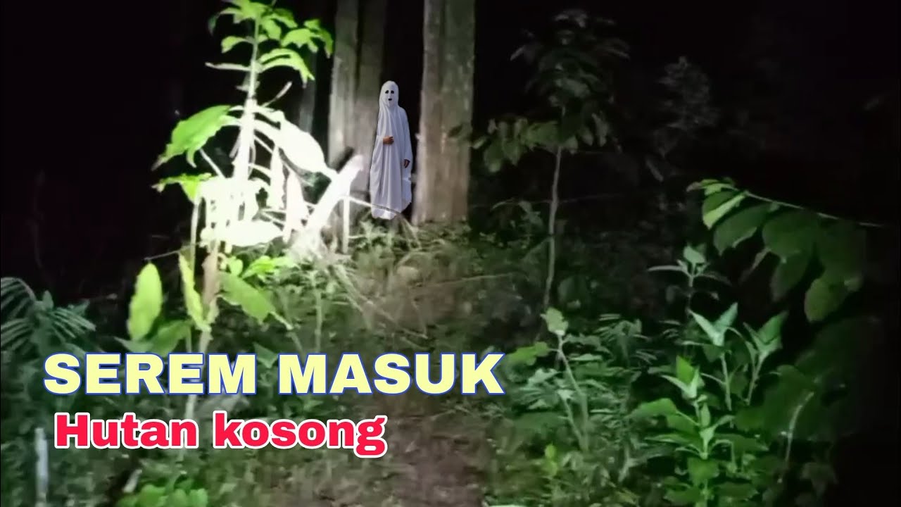 Masuk Hutan Kosong Tengah Malam!! Banyak Keanehan Dalam Hutan Kosong Ini