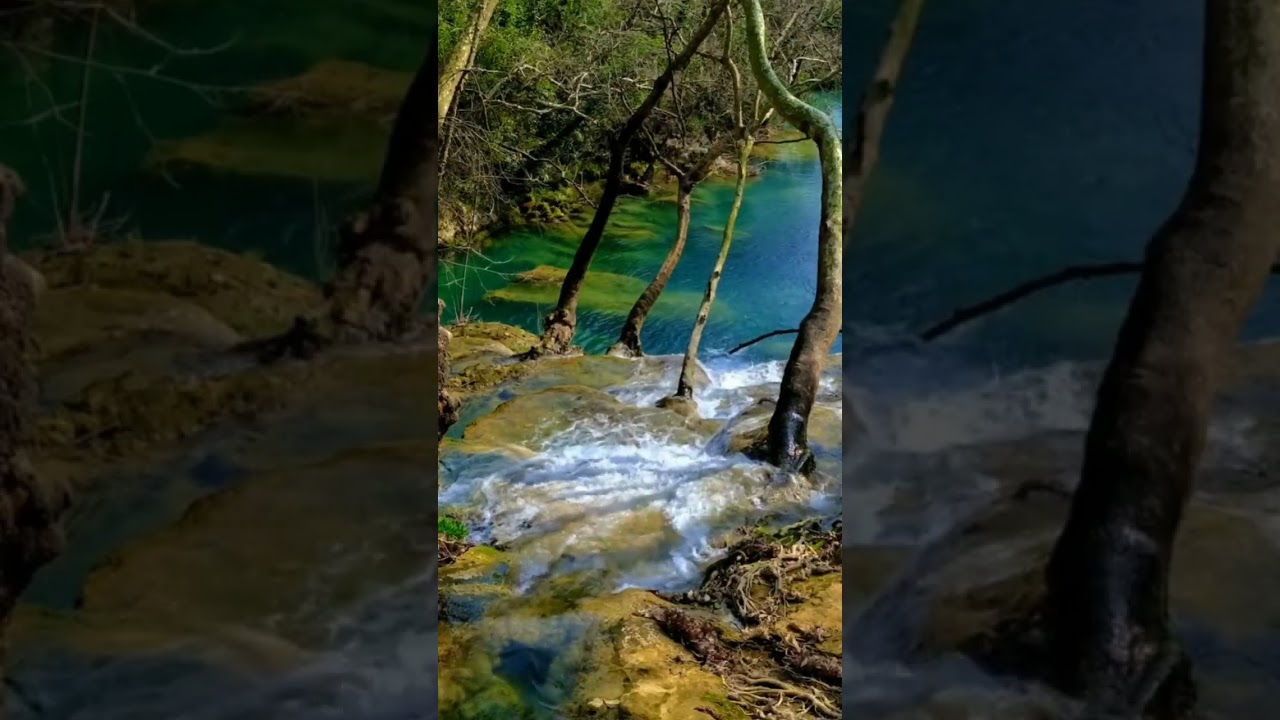 Water Flowing in Green Forest 🍃 | Pure Nature Sound 