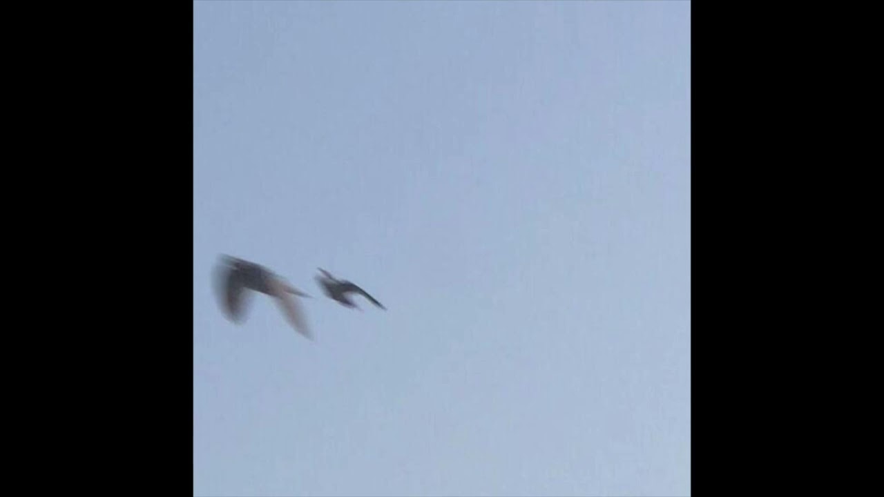 (free) frank ocean type beat bloodrush