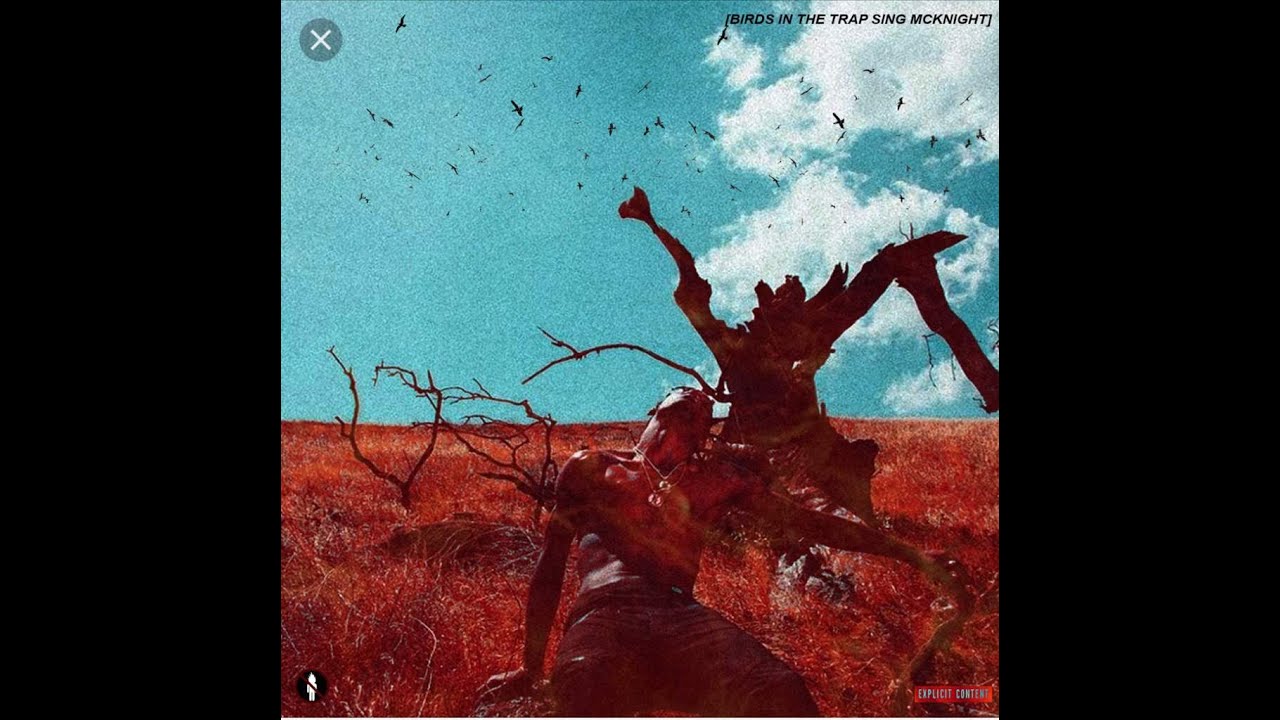 [FREE] TRAVIS SCOTT x BIRDS IN THE TRAP SING MCKNIGHT TYPE BEAT - 