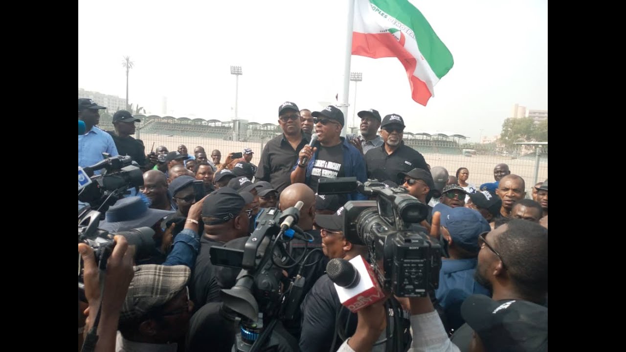 Supreme Court Judgement: Dino Melaye, Secondus Lead PDP Protest in Abuja | Punch