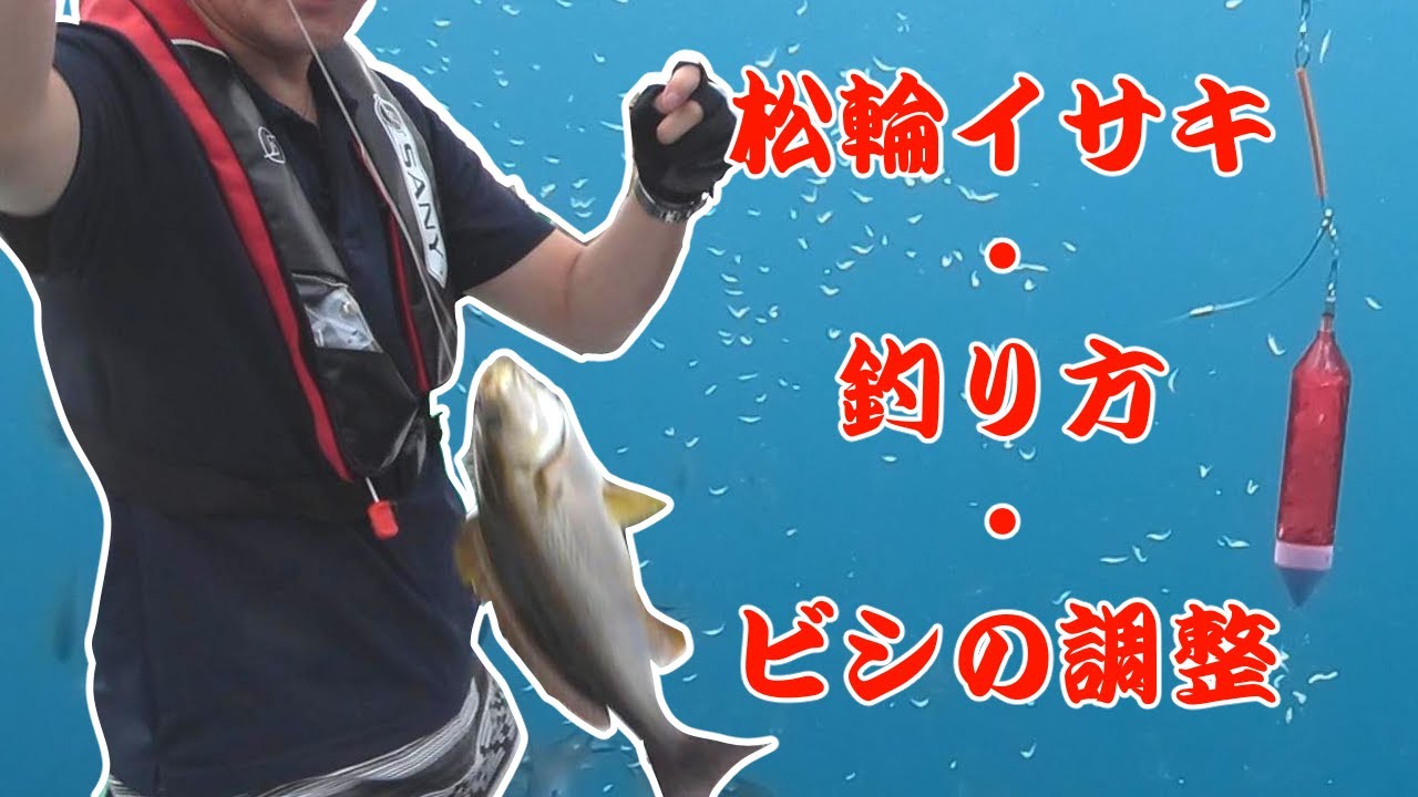 【絶好調】良型イサキ！今シーズン絶好調の東京湾剣崎松輪イサキ釣りをご紹介