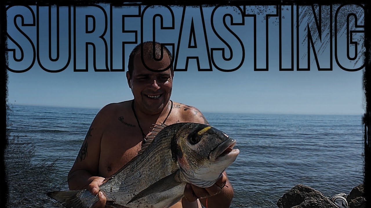 DORADAS XXL Y SARGUETONES en PIEDRAS PURAS!!!