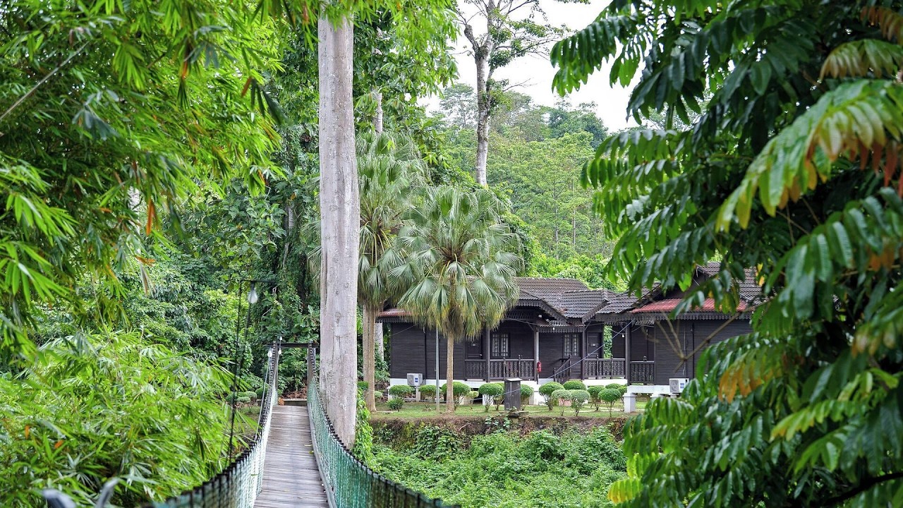 Hotel O Asiacamp Resort National Park Kuala Tahan, Malaysia | Travel With Bhavya