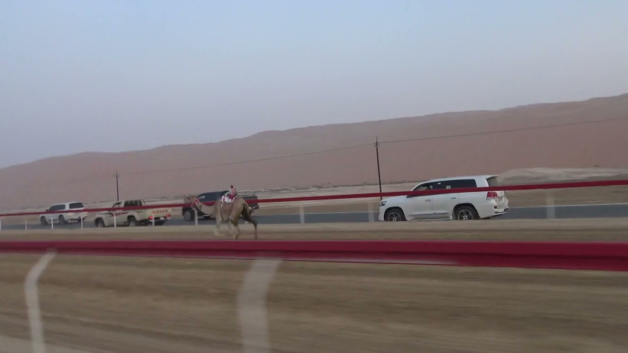 الشوط2♥ (الشبابيه) ل: نايف عبيد سلطان فاضل الكتبي توقيت 6.30