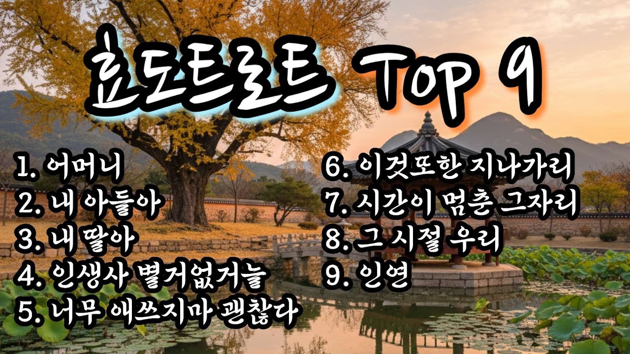 감성 트로트 메들리 9곡 연속듣기 1시간｜효도트로트 TOP 9
