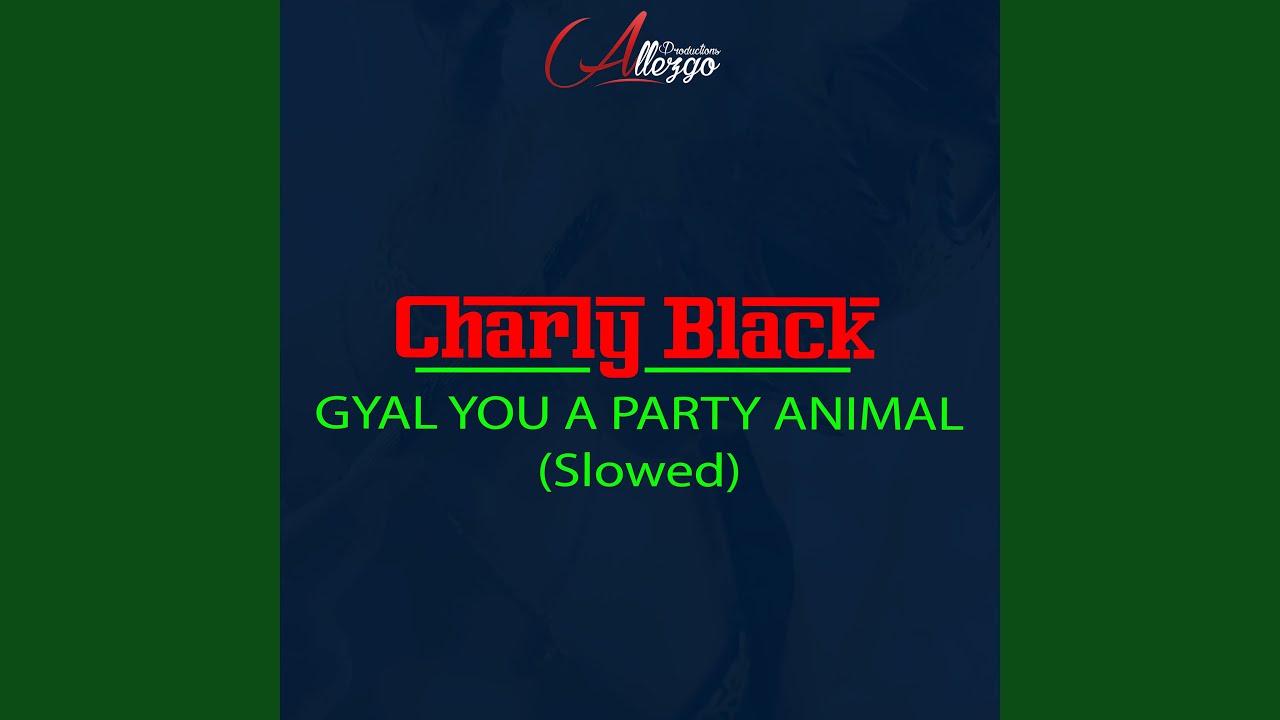 Gyal You a Party Animal (Slowed)