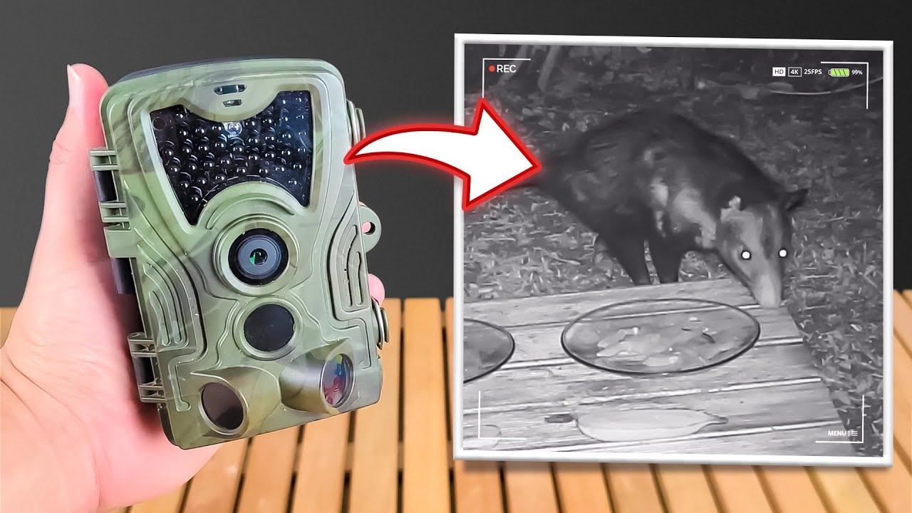 COMPREI UMA CÂMERA DE TRILHA E FIQUEI IMPRESSIONADO COM O QUE ELA CAPTUROU