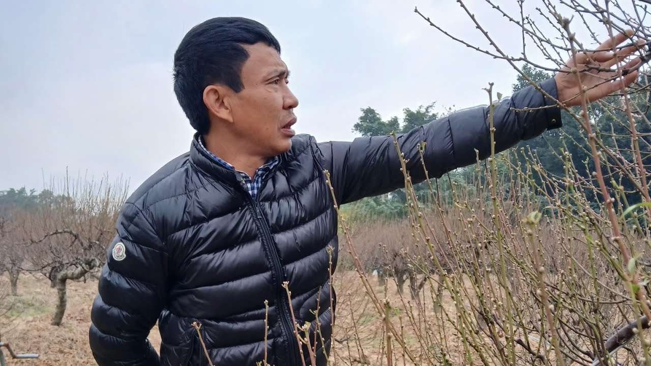 #vườn