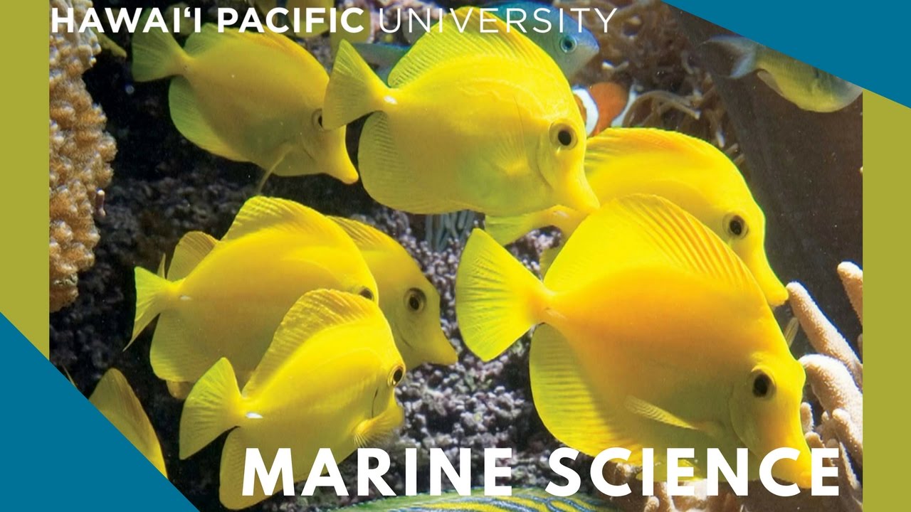 Hawaii Pacific University Marine Science Program
