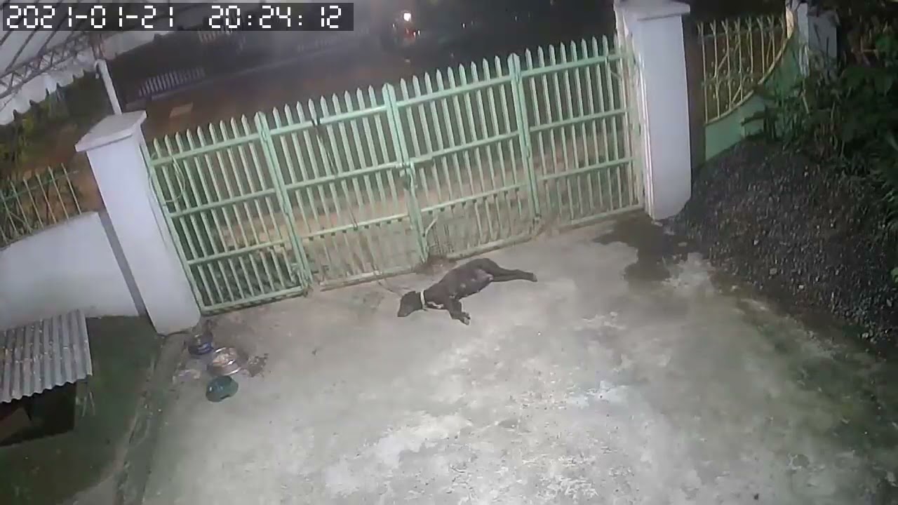 Sikkim Earthquake