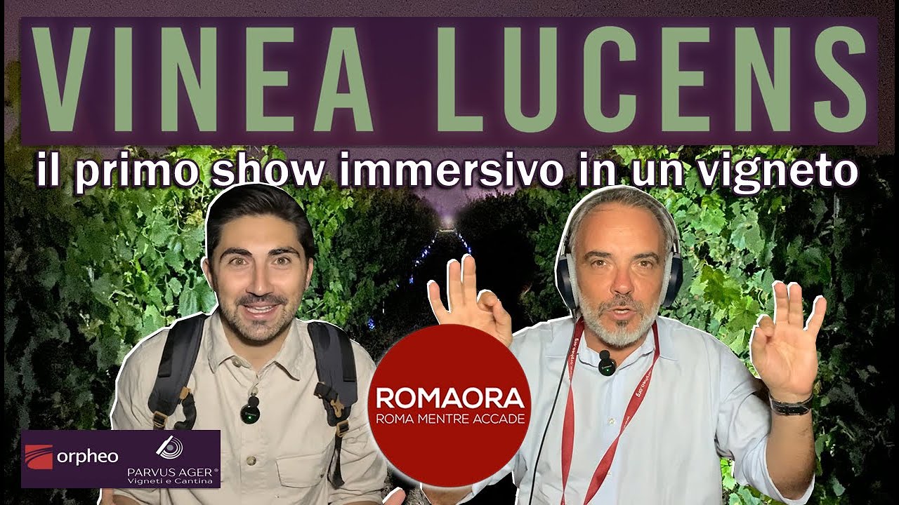 Passeggiare di notte tra i vigneti e l'Appia Antica: VINEA LUCENS