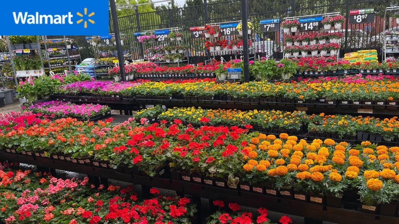 Shop with me at Walmart Garden Center for New Annual and Perennial Arrivals