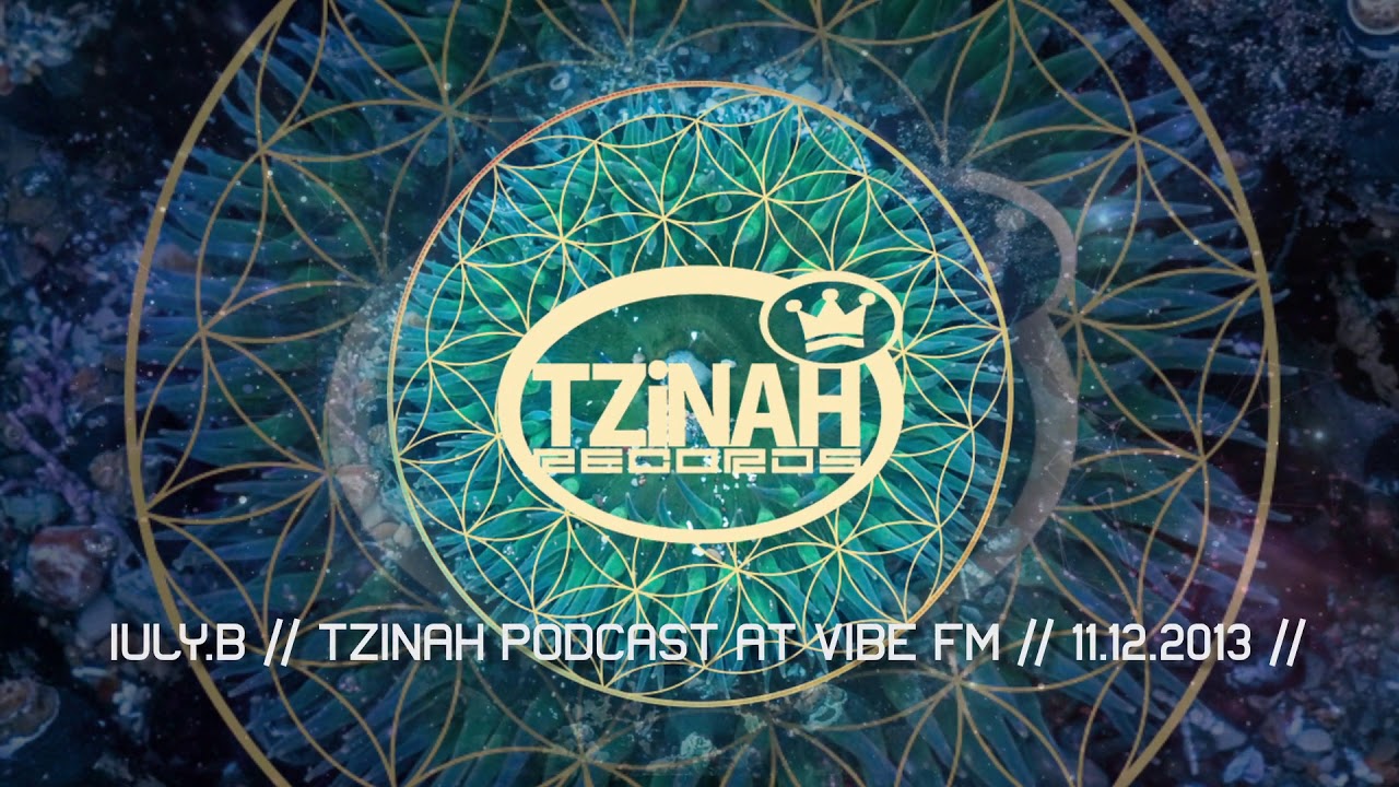 Iuly.B // Tzinah Podcast at Vibe FM // 11.12.2013 //