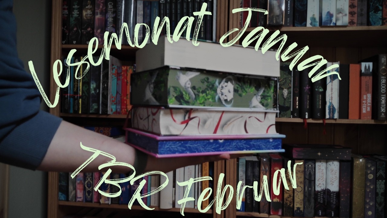 Lesemonat Januar und TBR Februar