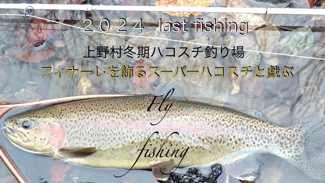 ２０２４last  fishing 上野村冬期ハコスチ釣り場 フィナーレを飾るスーパーハコスチと戯ぶ
