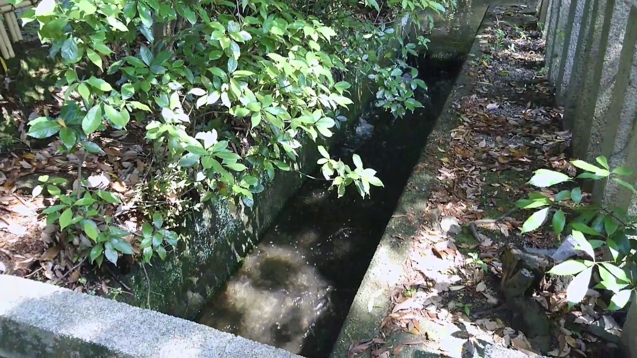 日根神社、境内