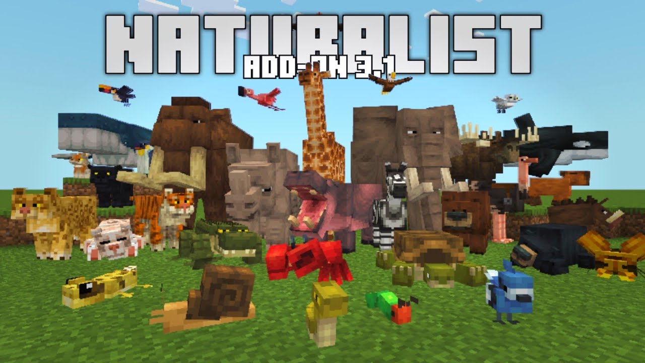Addon Yang Menambahkan 130+ Hewan Baru Pada Permainan - Reveiw Addon Naturalist 3.0