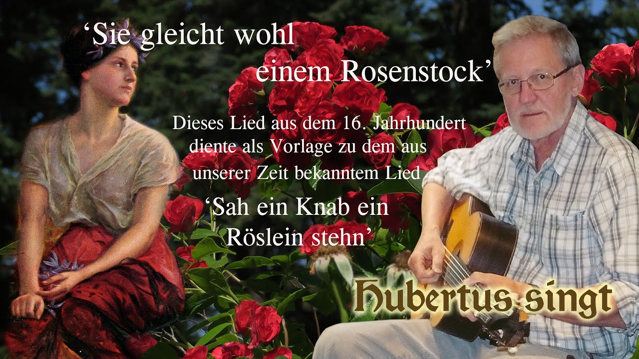Sie gleicht wohl einem Rosenstock