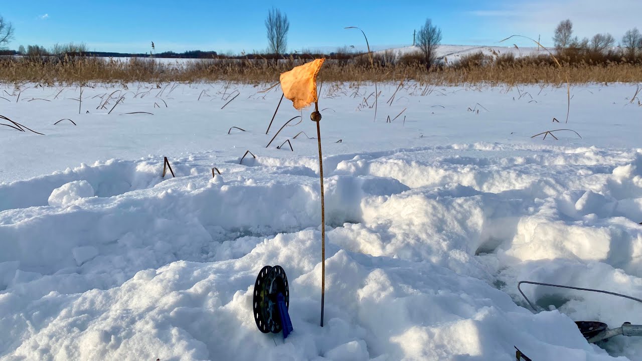 Рыбалка на жерлицы в начале марта 2026 год.