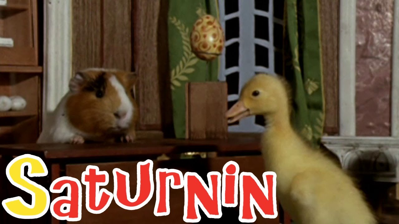 Saturnin - Saturnin l'ornithologue