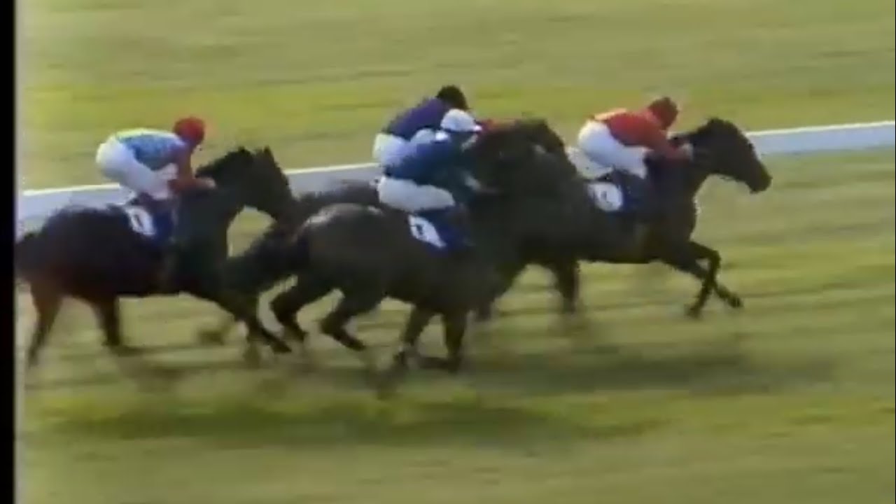 Sea Pigeon cruises home in The 1980 Doonside Cup at Ayr Racing Legend.