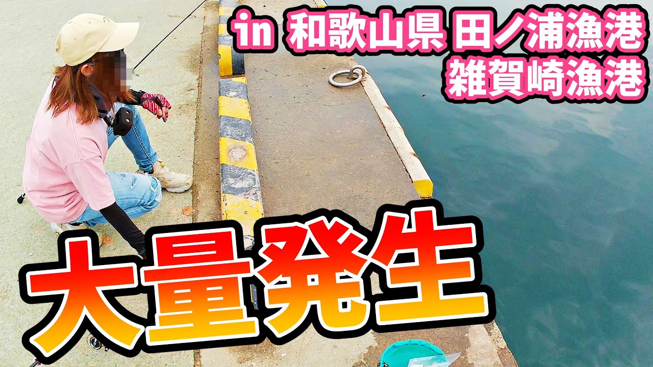 【田ノ浦・雑賀崎漁港】爆釣の海で声をかけられてまさかの出来事が