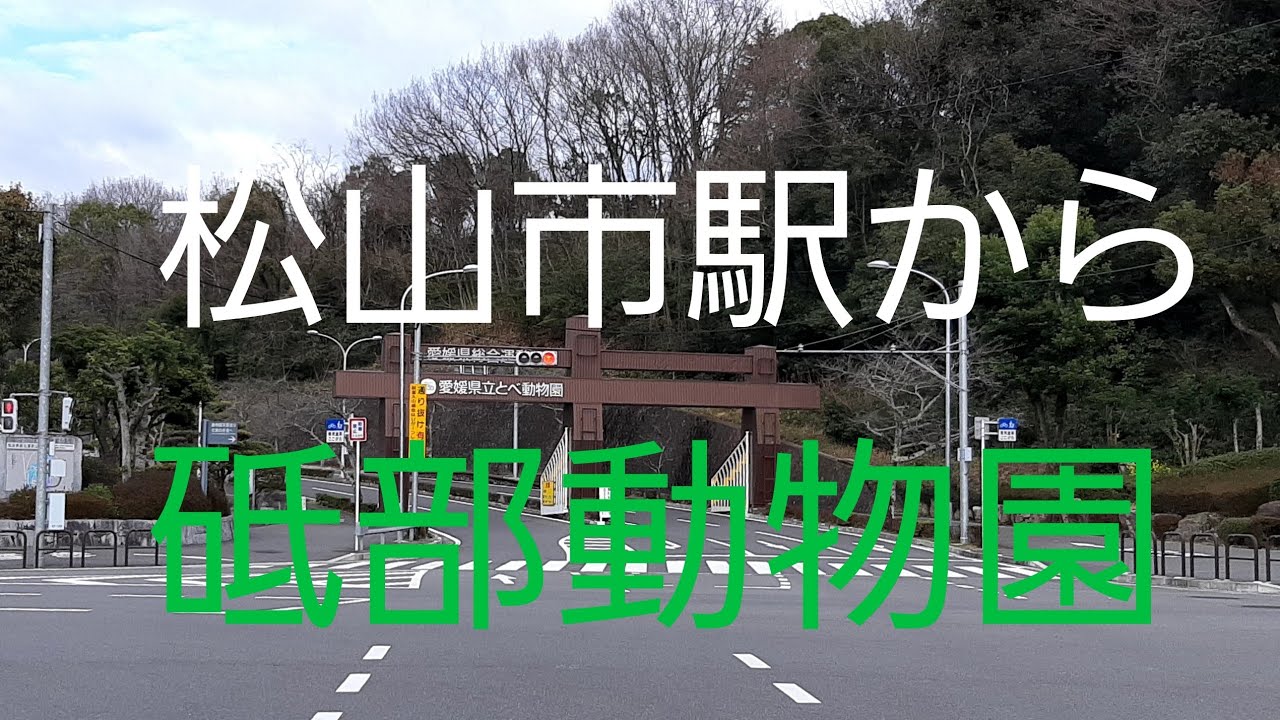 松山市駅から砥部動物園　ぐるぐるドライブ