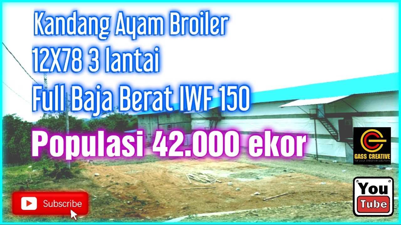 Kandang Ayam Broiler 12X78 3 lantai dengan Pengendali Jarak Jauh