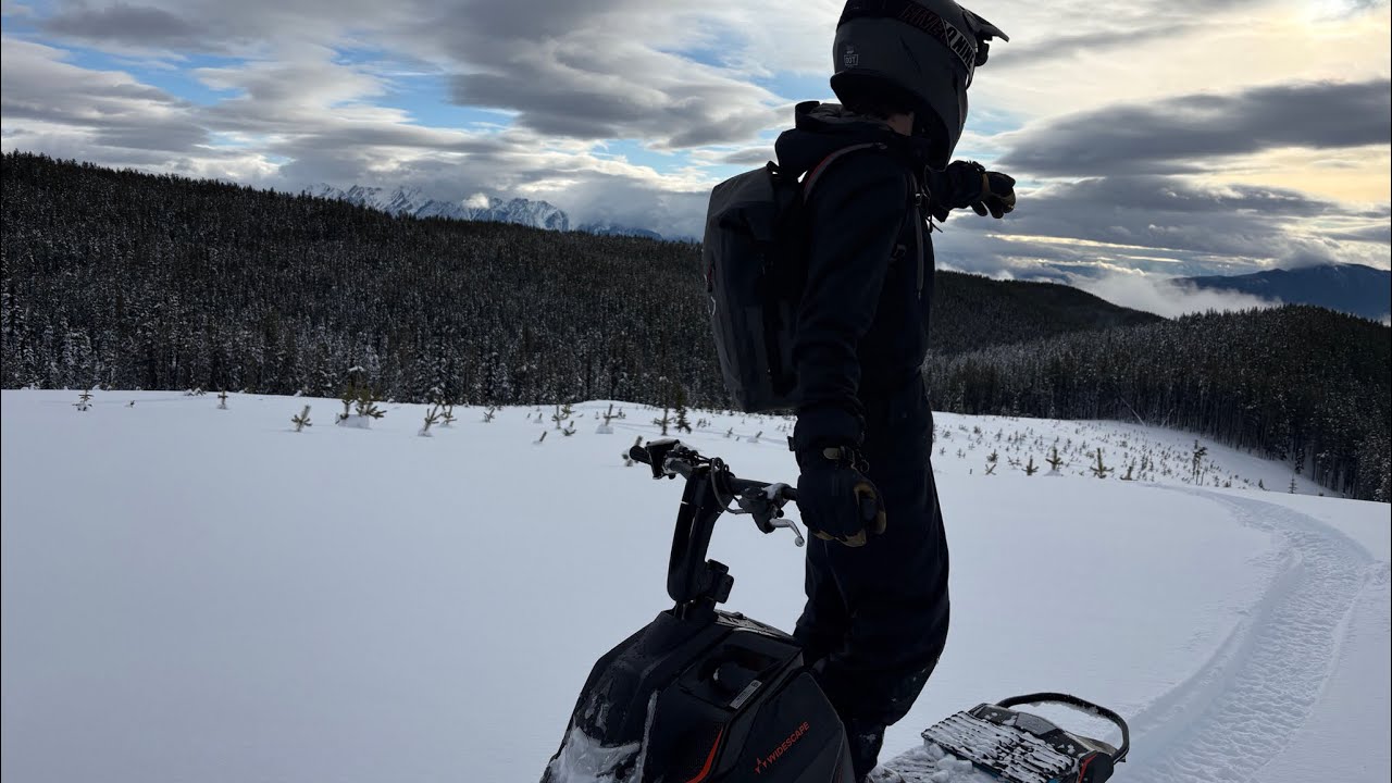 Ripping the Widescape ws 250 in the clear cut