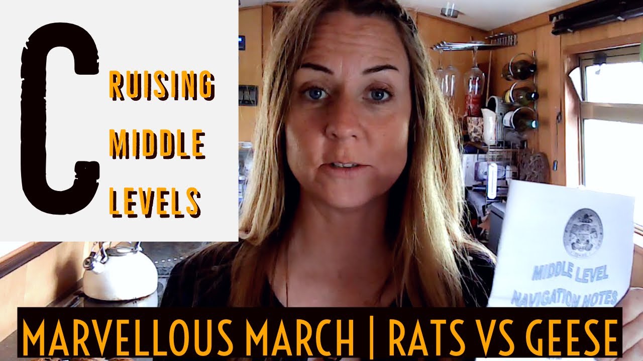 #55 Cruising the Middle Levels| Marvellous March| Rats Vs Geese!
