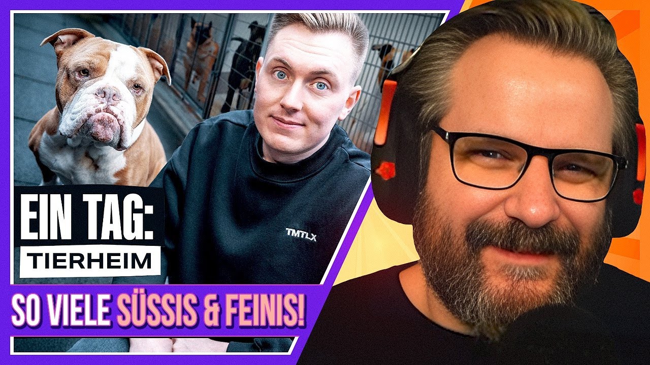 So ist die Arbeit im Tierheim - Gronkh Reaction