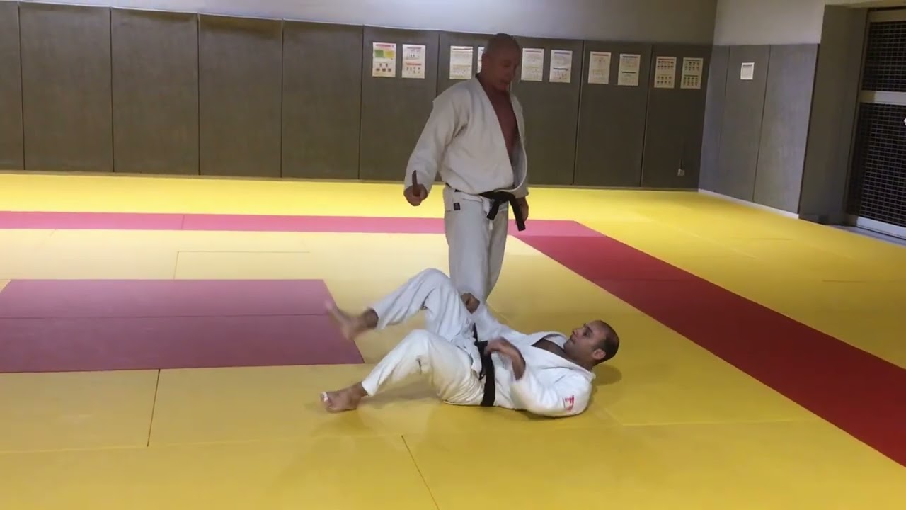 Ju-Jitsu par Thierry Mathieu